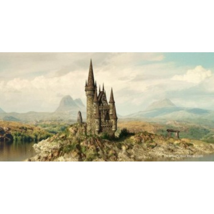 LPO3228 6 x 12 in. Castle Photo License Plate