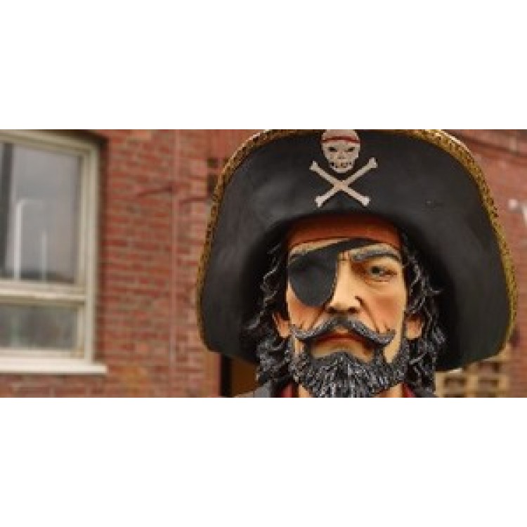 LPO3231 6 x 12 in. Pirate Photo License Plate