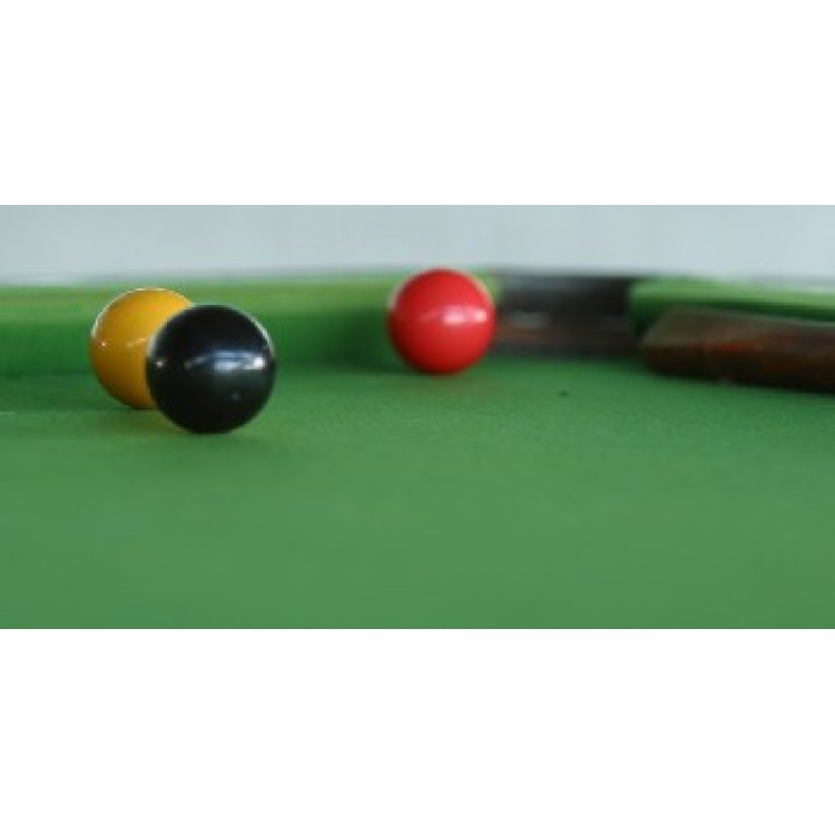 LPO3232 6 x 12 in. Pool Table & Balls Photo License Plate