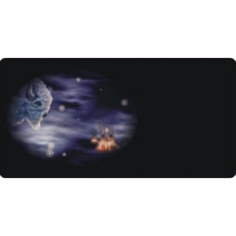 LPO3256 6 x 12 in. Offset Celestial Buffalo Bison Photo License Plate