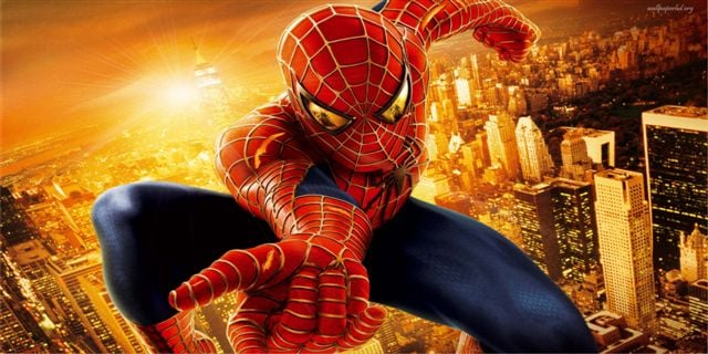 LPO396 Spiderman Photo License Plate