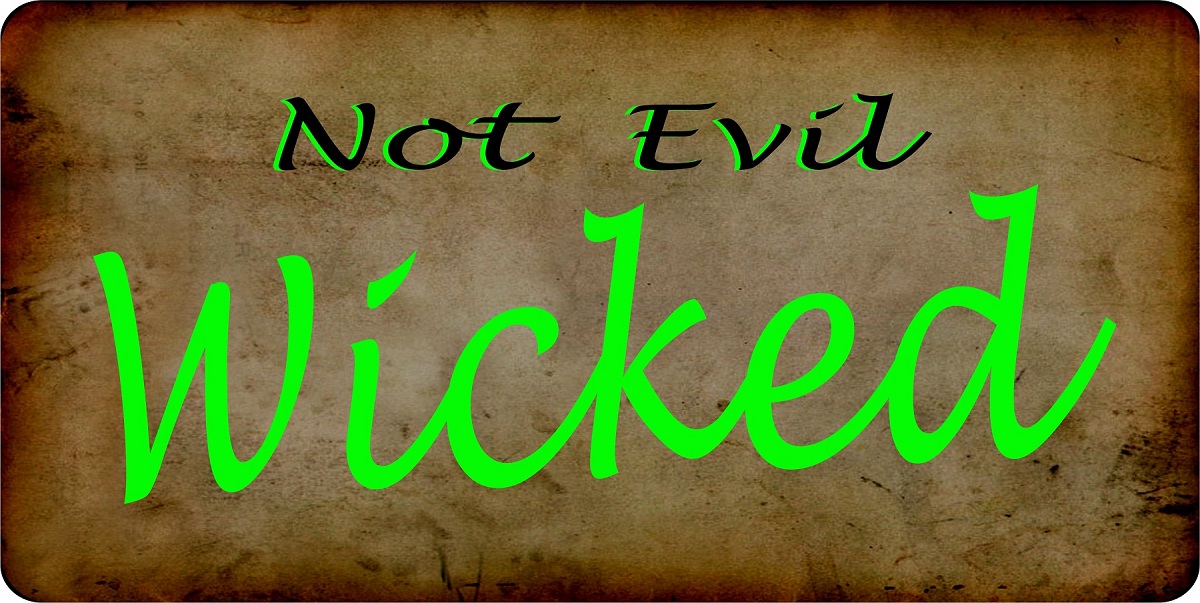 LPO7565 6 x 12 in. Not Evil Wicked Photo License Plate