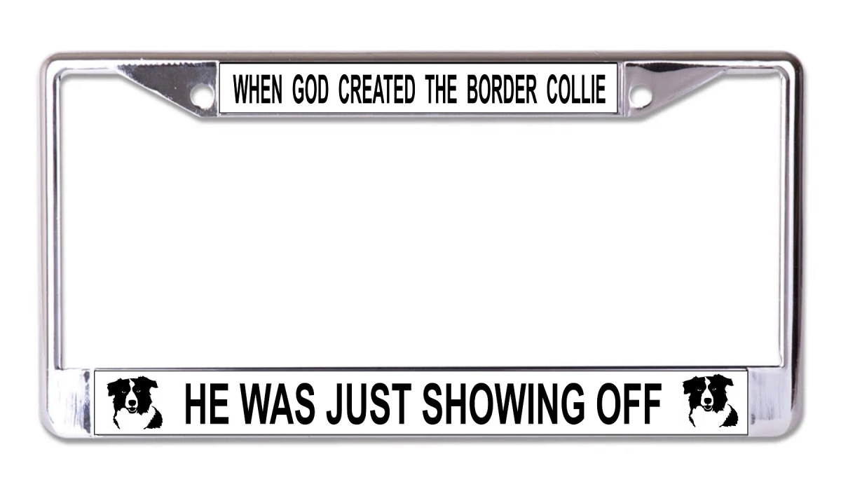 LPO7936 6 x 12 in. When God Created the Border Collie Chrome License Plate Frame