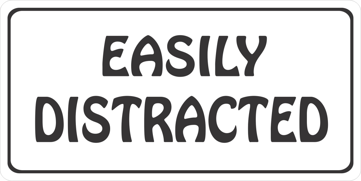 LPO7994 6 x 12 in. Easily Distracted Photo License Plate