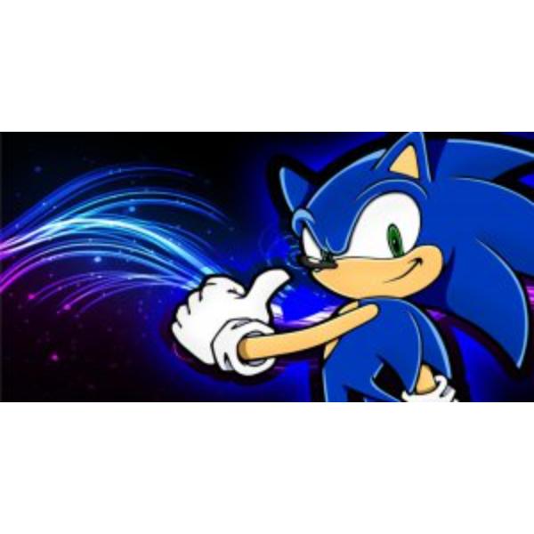 6 x 12 in. Sonic No.2 Photo License Plate
