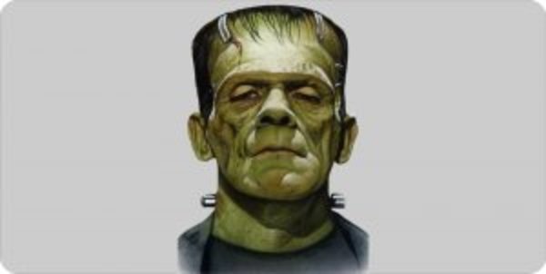LPO2397 6 x 12 in. Frankenstein Centered Photo License Plate