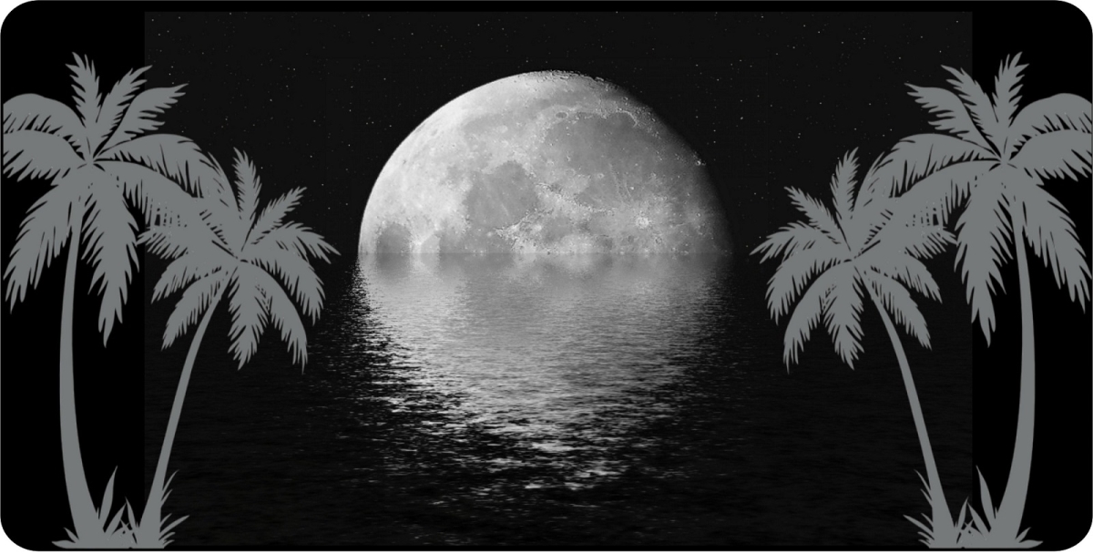 LPO7357 6 x 12 in. Gray Palms with Moon Photo License Plate
