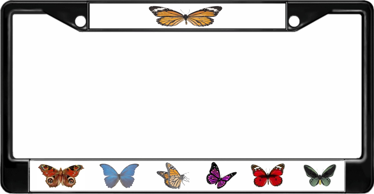 LPO2554B 6 x 12 in. Butterflies Black License Plate Frame