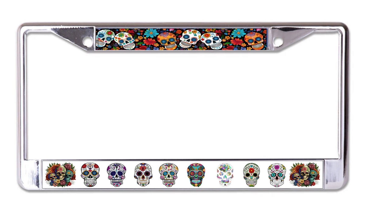 LPO7988 6 x 12 in. Sugar Skulls Chrome License Plate Frame