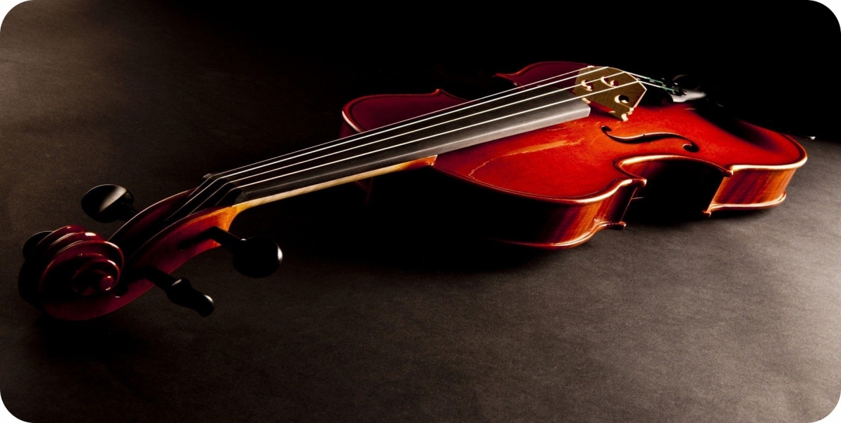 LPO8014 6 x 12 in. Violin Centered Photo License Plate
