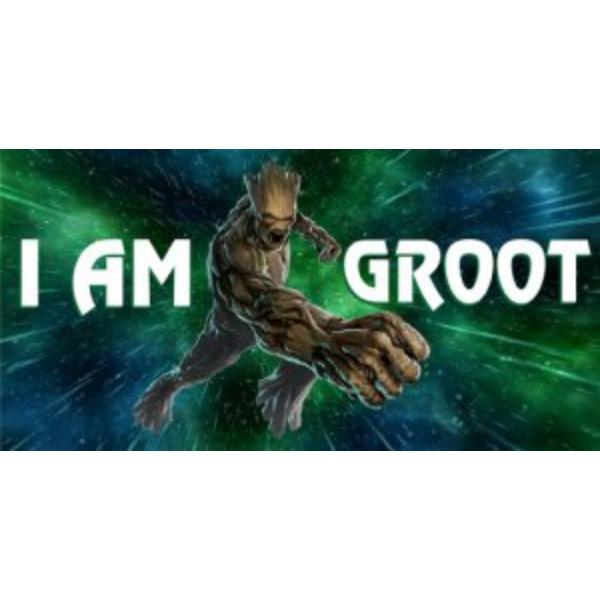 LPO3301 6 x 12 in. Iam Groot Photo License Plate