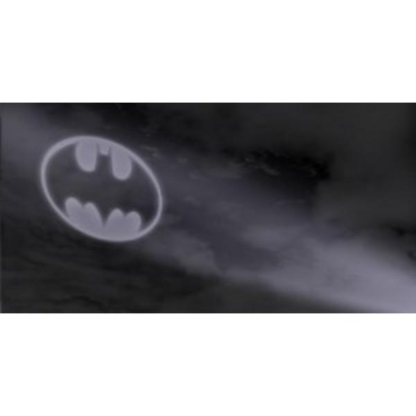 212 Main LPO3422 6 x 12 in. Batman Bat Signal Photo License Plate