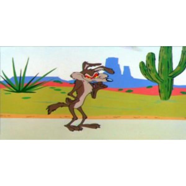 6 x 12 in. Wile E. Coyote Photo License Plate