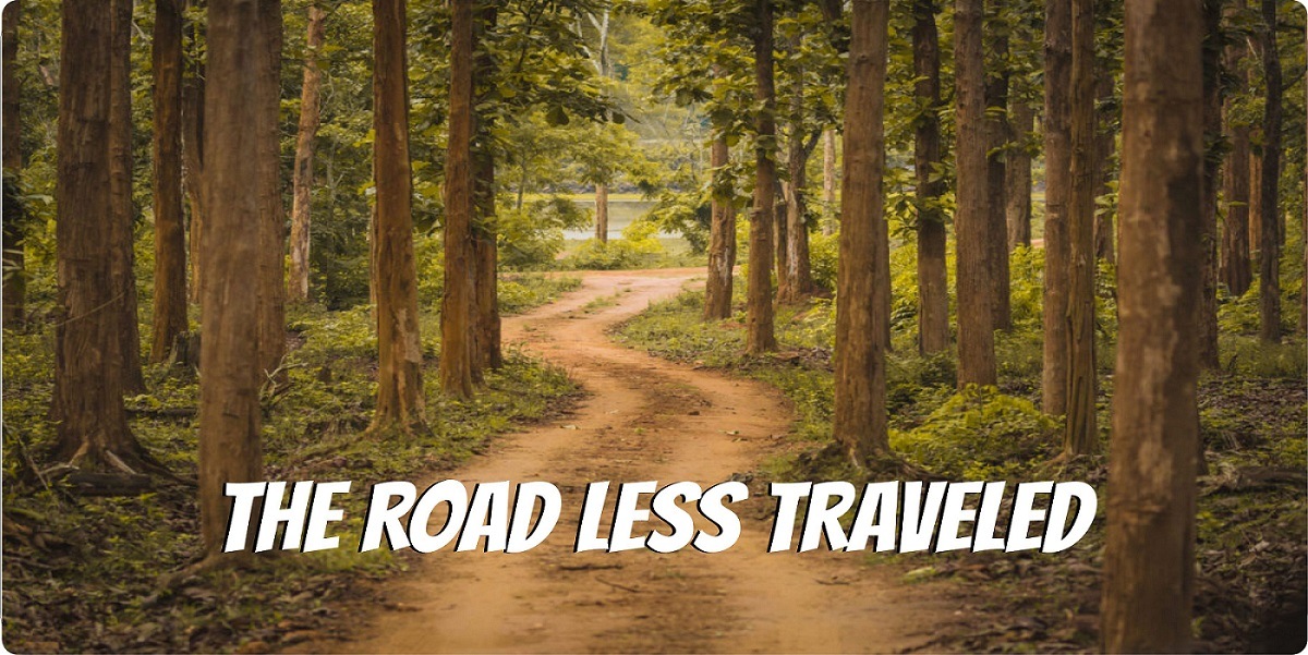 LPO7365 6 x 12 in. The Road Less Traveled Photo License Plate