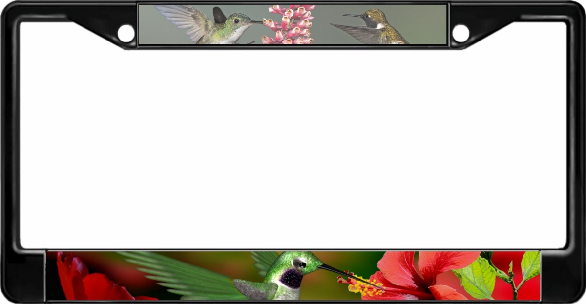 LPO2075B 6 x 12 in. Hummingbirds Black License Plate Frame