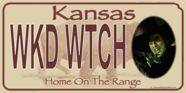 LPO393 Wicked Witch Kansas Photo License Plate