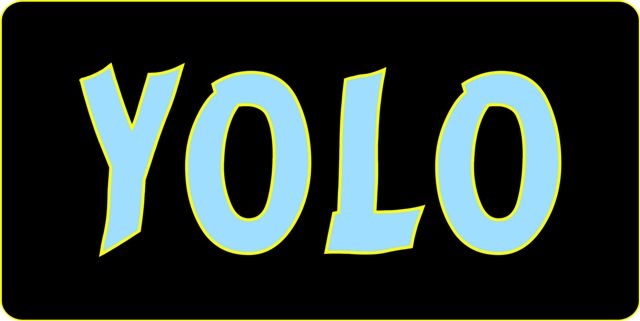 Yolo License Plate - Blue - Full Size - Durable Aluminum - Weatherproof