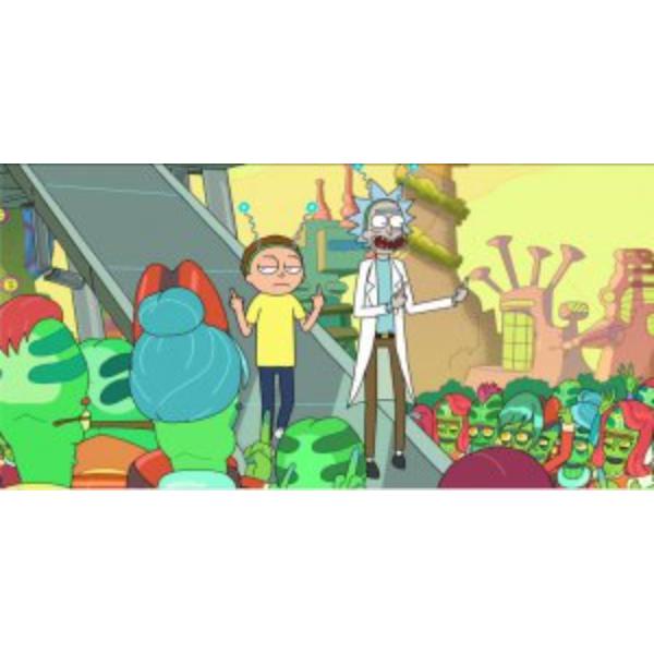 6 x 12 in. Rick & Morty No.3 Photo License Plate