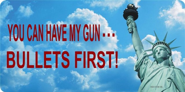 LPO1237 You Can Have My Gun Photo License Plate