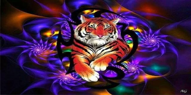 LPO1724 Hipster Tiger Photo License Plate