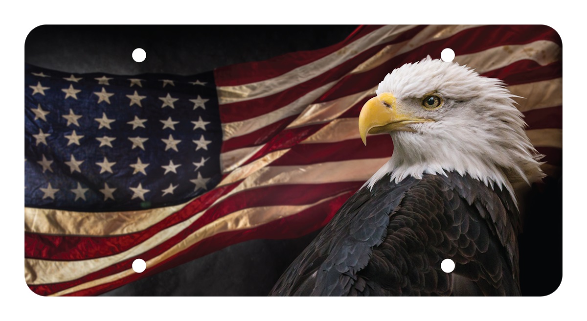 American Flag & Eagle License Plate - Unbreakable Plastic - 6 x 12 in.