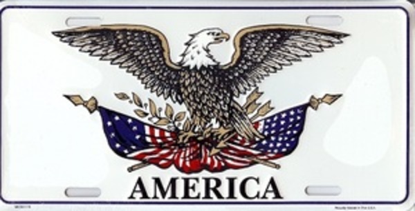 MC52115 6 x 12 in. Eagle on American Flag with America License Plate