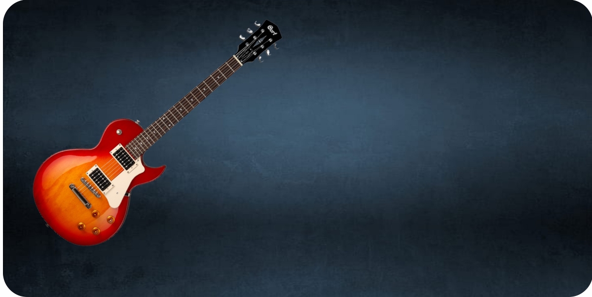 LPO8017 Electric Guitar Offset Photo License Plate