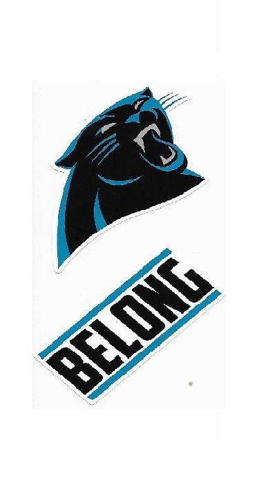 Picture of 212 Main DSS0801 3.5 in. Carolina Panthers Double Up Die Cut Vinyl Stickers