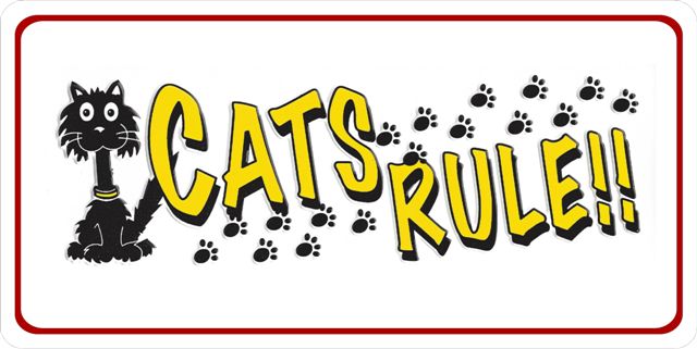 LPO1522 Cats Rule Photo License Plate