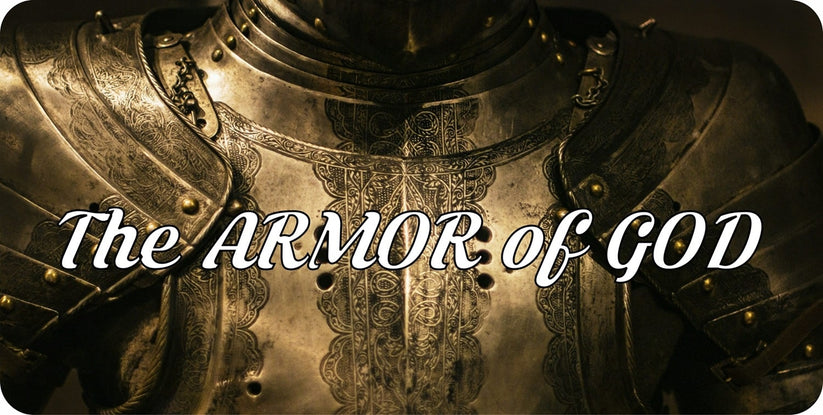 LPO8350 6 x 12 in. The Armor of God Metal License Plate