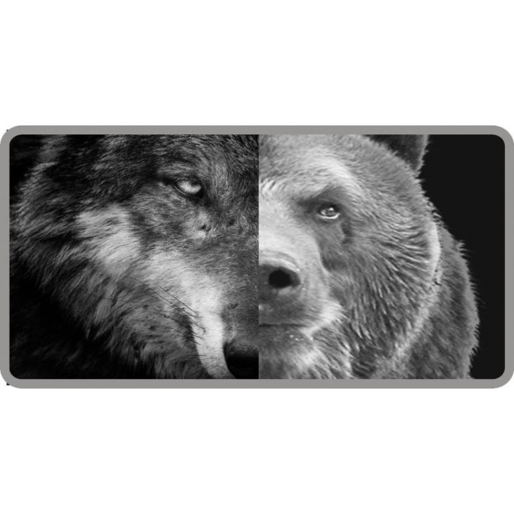 LPO3947 6 x 12 in. Half Wolf Half Bear Photo License Plate