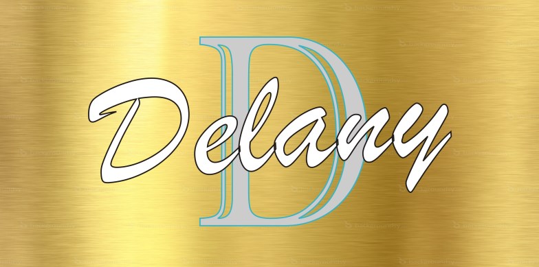 LPO4014 Gold Blank Background Photo License Plate