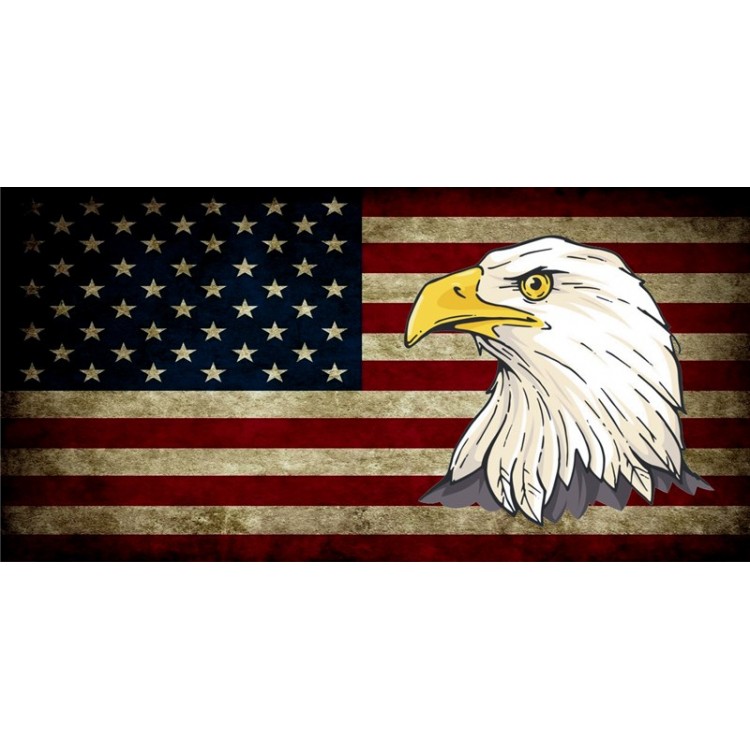 6 x 12 in. U.S. Flag Worn with Eagle Photo License Plate