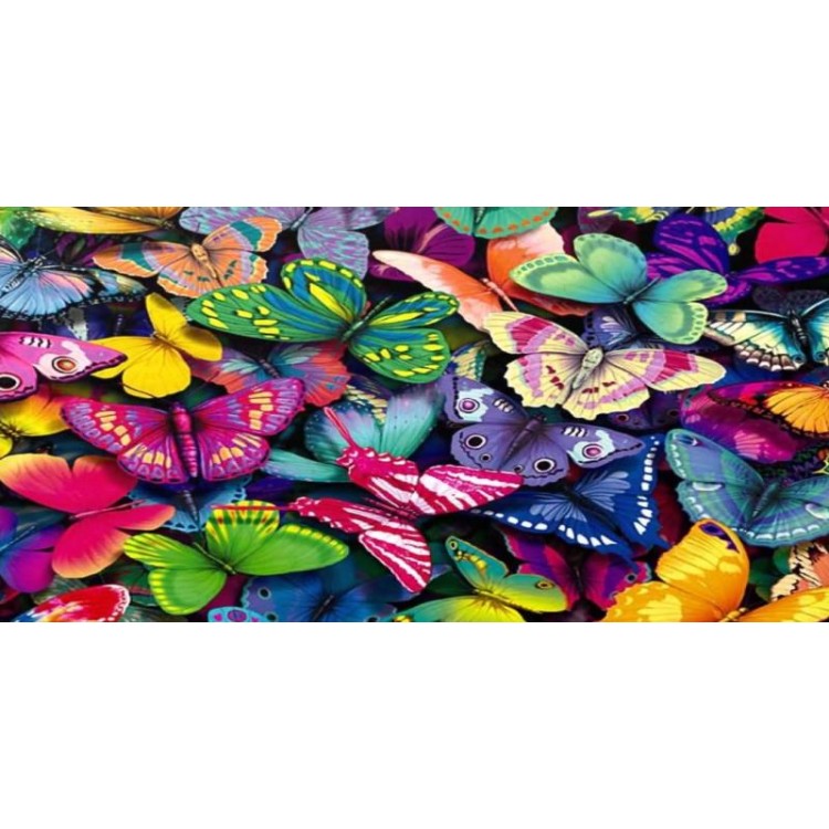 LPO4073 6 x 12 in. Collage of Butterflies Photo License Plate