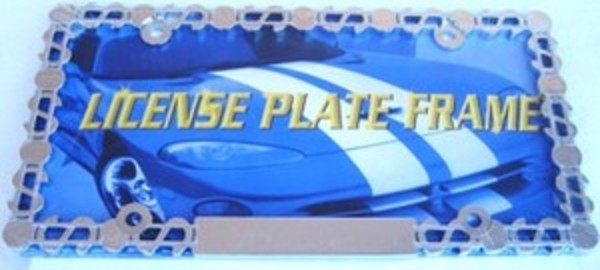 DF125C 6 x 12 in. Dollar Signs Chrome License Plate Frame, Free Screw Caps