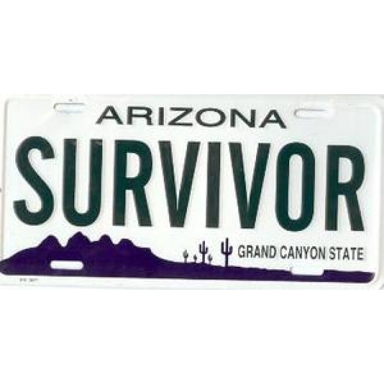 Picture of 212 Main 01E-3677 6 x 12 in. Arizona Survivor License Plate