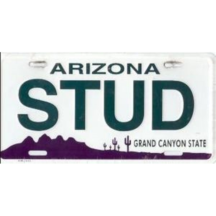 95B-7810 6 x 12 in. Arizona Stud License Plate