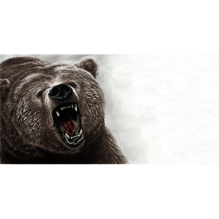 LPO3489 6 x 12 in. Bear Offset Photo License Plate