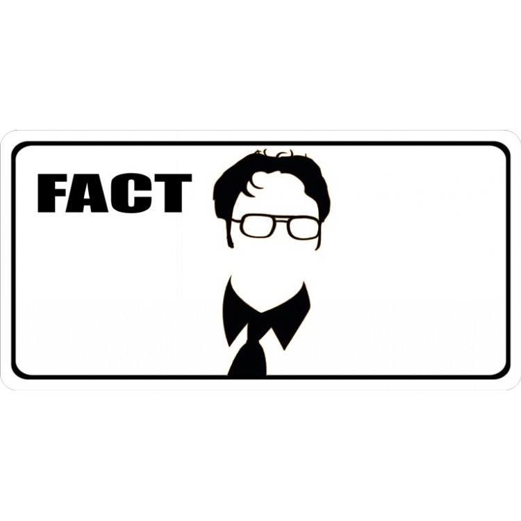 LPO3499 6 x 12 in. Fact Photo License Plate