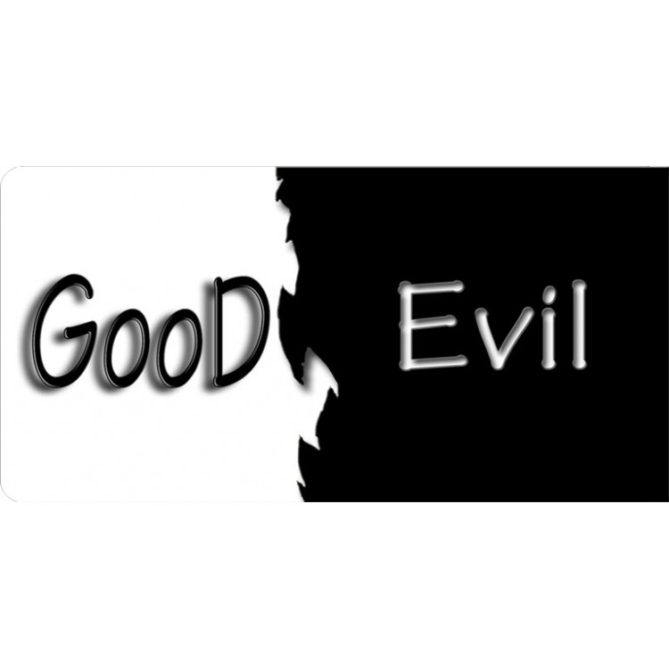 LPO3503 6 x 12 in. Good or Evil Photo License Plate