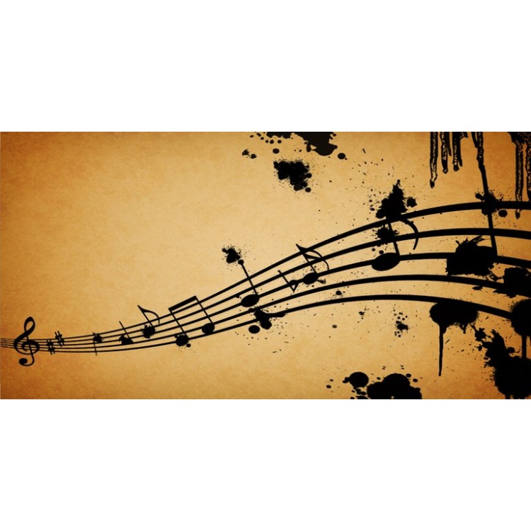 6 x 12 in. Music Notes Photo License Plate