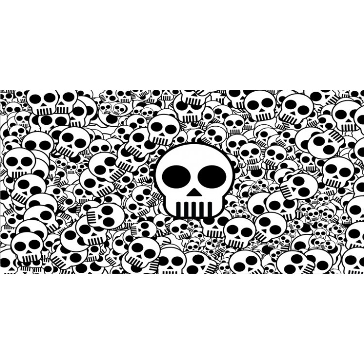 LPO3535 6 x 12 in. Skull Collage Photo License Plate