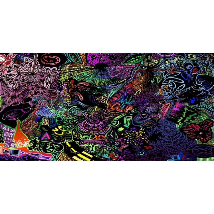 LPO3545 6 x 12 in. Trippy Photo License Plate