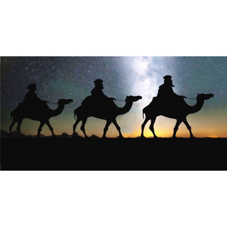 LPO3329 6 x 12 in. Three Wise Men Sunset Photo License Plate