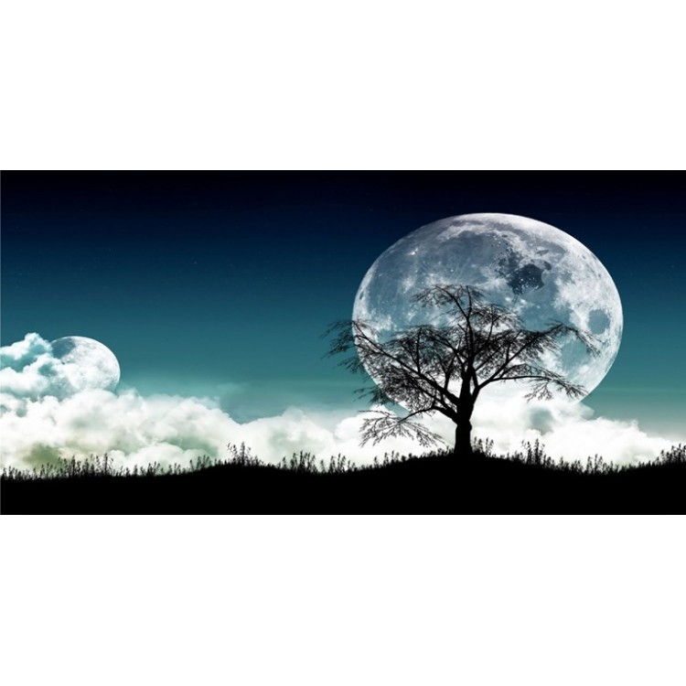 LPO3571 6 x 12 in. Two Moons Photo License Plate