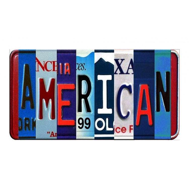 SOTT209357 6 x 12 in. American Cut Style Metal Art License Plate