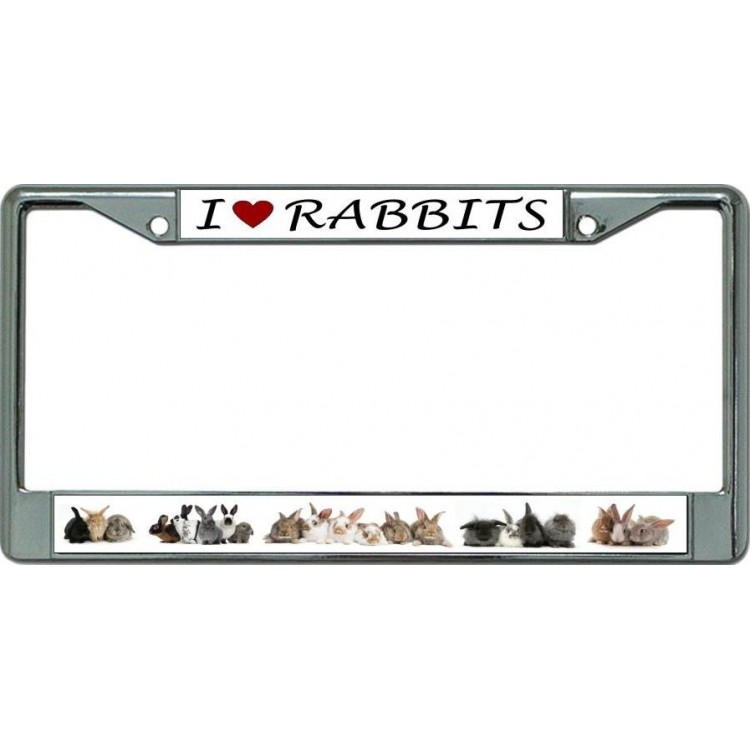 LPO6091 6 x 12 in. I Love Rabbits No.2 Chrome License Plate Frame