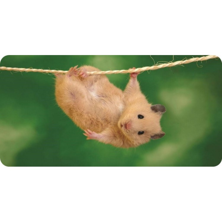LPO6282 6 x 12 in. Hamster Photo License Plate