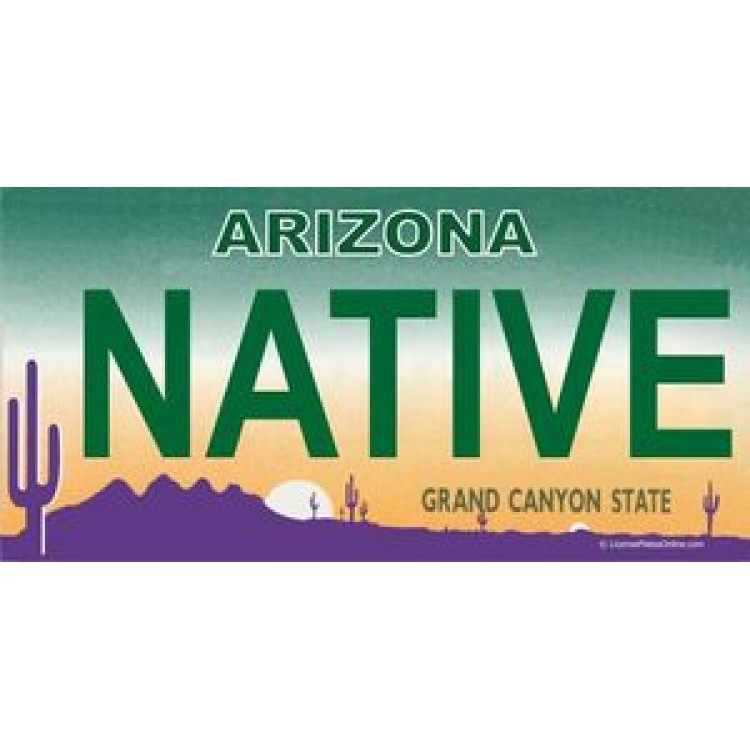 LPO799 Arizona Native Photo License Plate