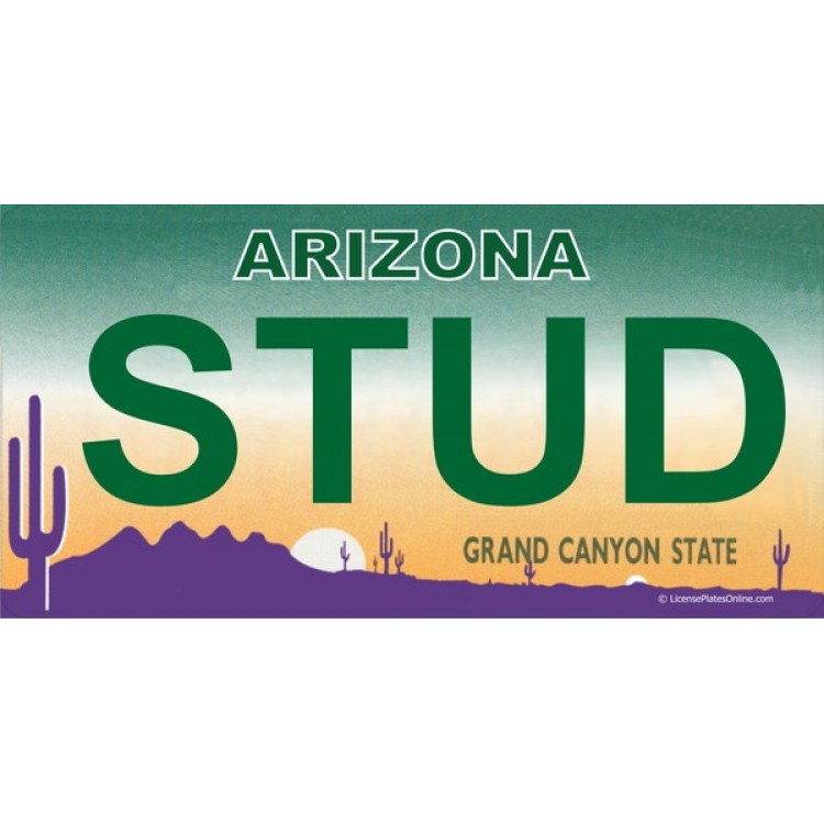 LPO1680 Arizona Stud Photo License Plate